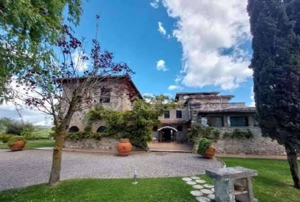 negozio in vendita a Castelnuovo Berardenga