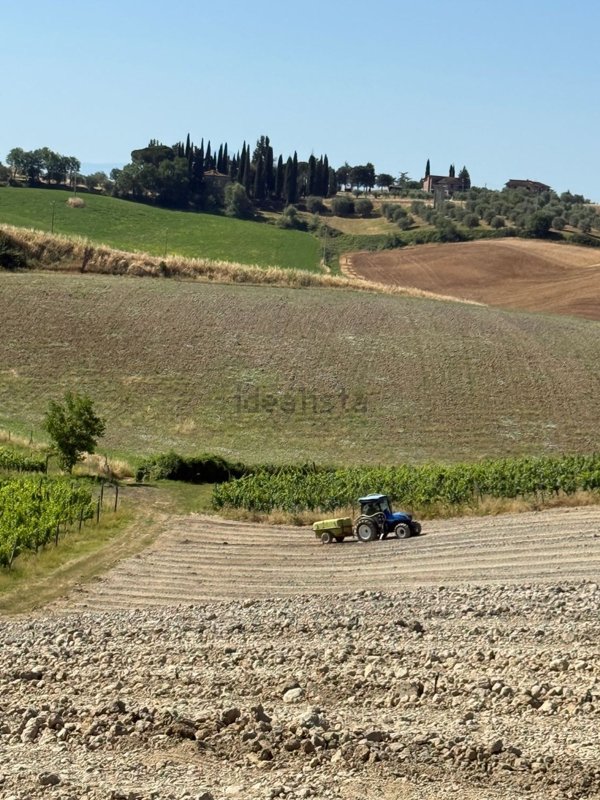 azienda agricola in vendita a Castelnuovo Berardenga