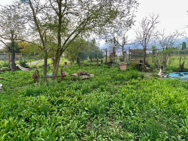 terreno agricolo in vendita a Castelnuovo Berardenga in zona Casetta