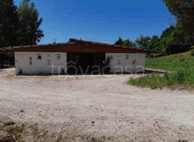 casa indipendente in vendita a Castelnuovo Berardenga