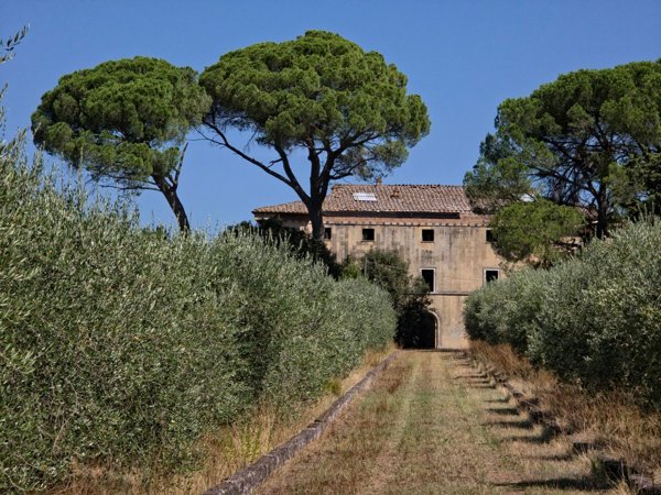 casa indipendente in vendita a Castelnuovo Berardenga in zona Castell'in Villa