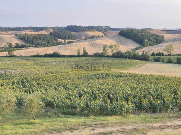 terreno in vendita a Castelnuovo Berardenga in zona Pacina