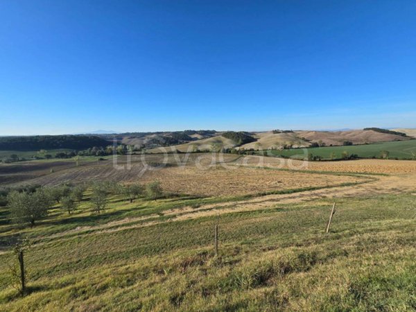 terreno agricolo in vendita a Castelnuovo Berardenga in zona Pacina