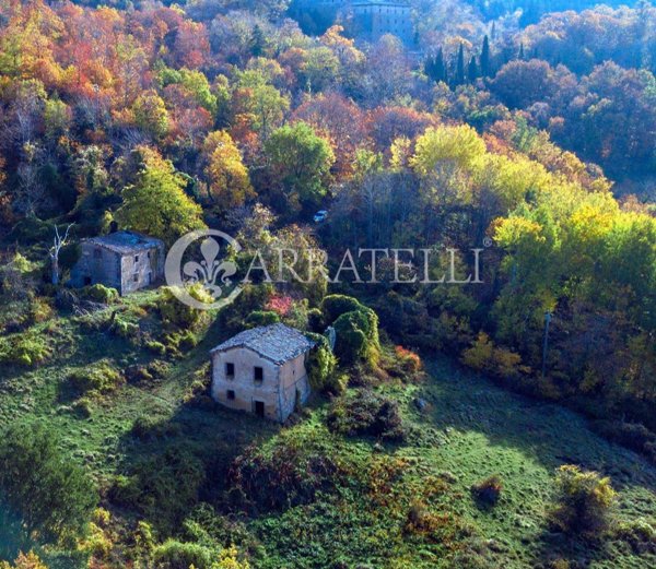casa indipendente in vendita a Castiglione d'Orcia in zona Vivo d'Orcia