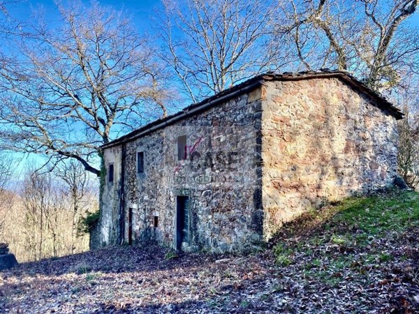 pentavano in vendita a Castiglione d'Orcia