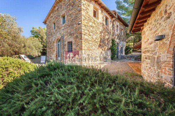 esavano in vendita a Castiglione d'Orcia