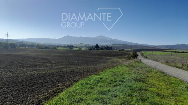 terreno agricolo in vendita a Castiglione d'Orcia