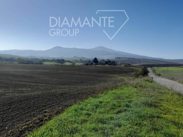 terreno agricolo in vendita a Castiglione d'Orcia