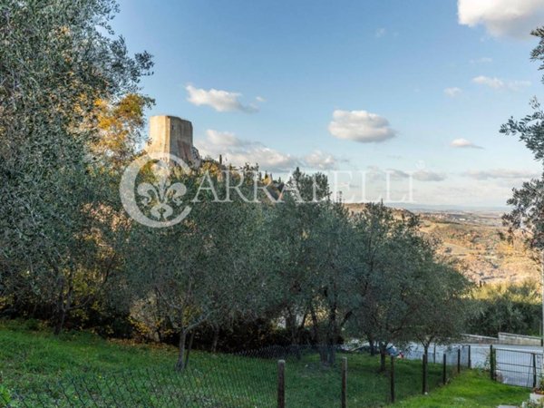 esavano in vendita a Castiglione d'Orcia