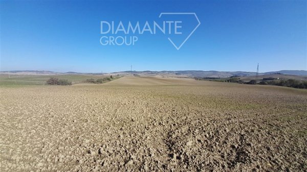 terreno agricolo in vendita a Castiglione d'Orcia