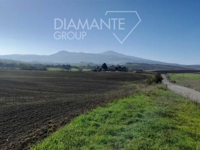 terreno agricolo in vendita a Castiglione d'Orcia
