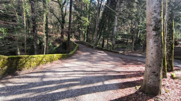 appartamento in vendita a Castiglione d'Orcia in zona Vivo d'Orcia