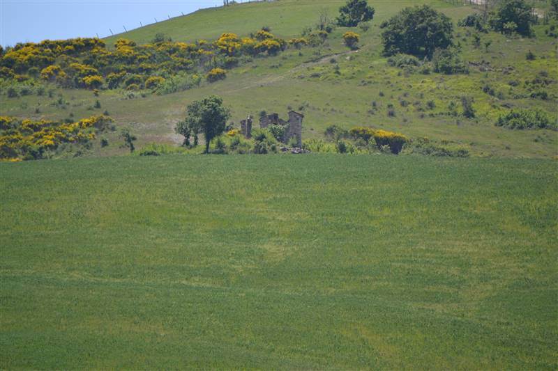 azienda agricola in vendita a Castiglione d'Orcia