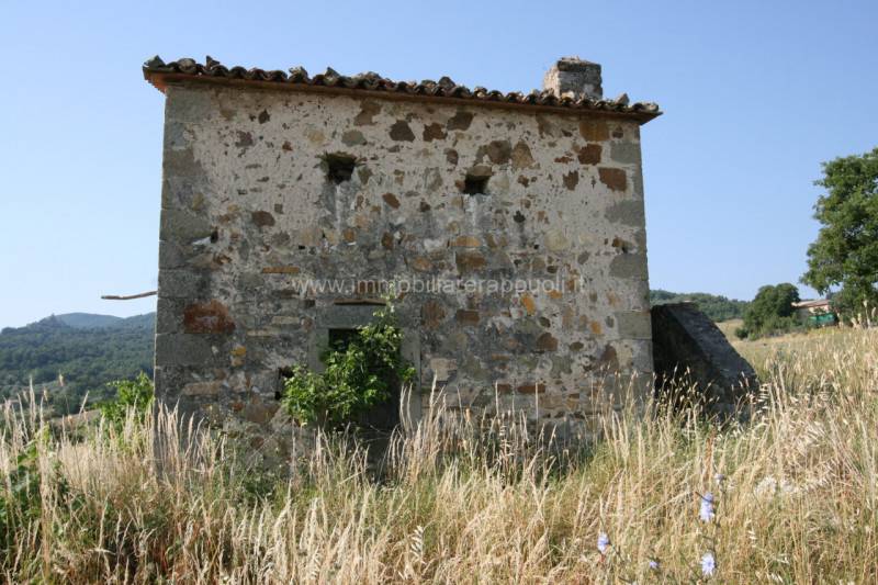 casa indipendente in vendita a Castiglione d'Orcia in zona Campiglia d'Orcia