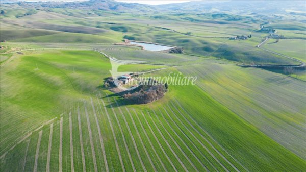 azienda agricola in vendita a Castiglione d'Orcia