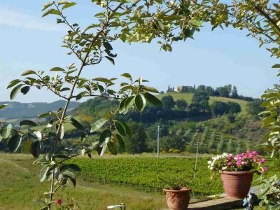 casa indipendente in vendita a Castiglione d'Orcia