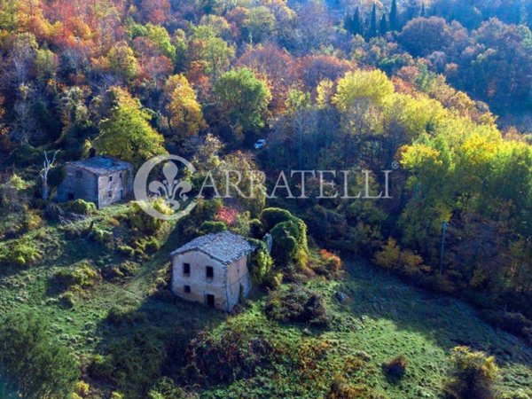 casa indipendente in vendita a Castiglione d'Orcia in zona Vivo d'Orcia