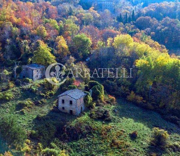 casa indipendente in vendita a Castiglione d'Orcia in zona Vivo d'Orcia