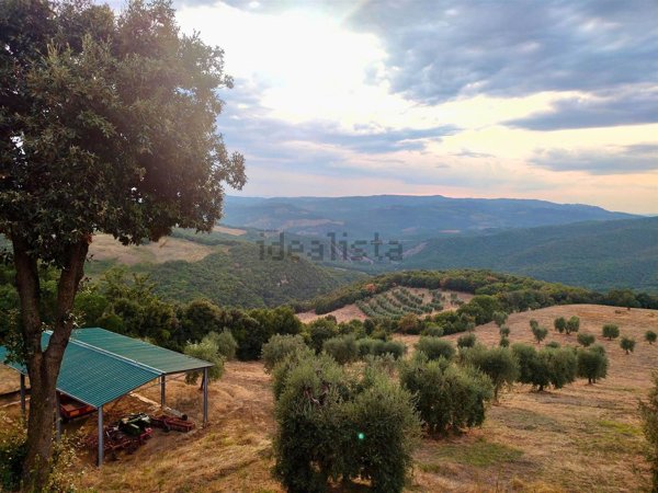 casa indipendente in vendita a Castiglione d'Orcia