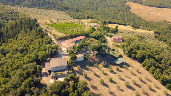 negozio in vendita a Castiglione d'Orcia in zona Rocca d'Orcia