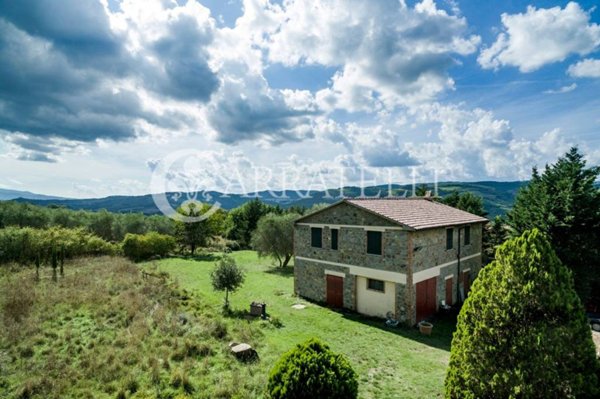 casa indipendente in vendita a Castiglione d'Orcia in zona Ripa