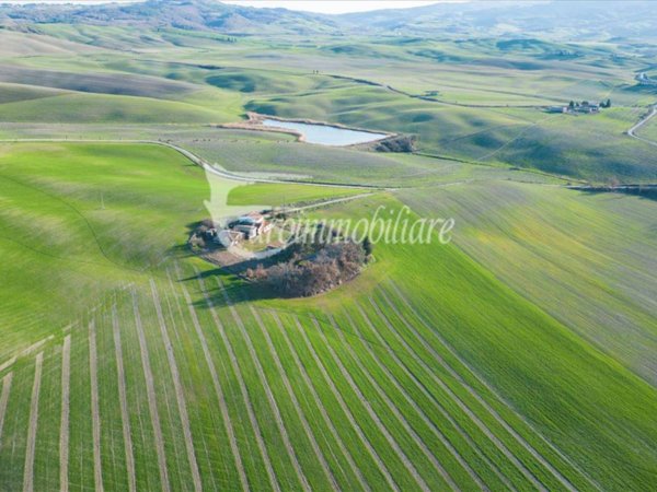 negozio in vendita a Castiglione d'Orcia