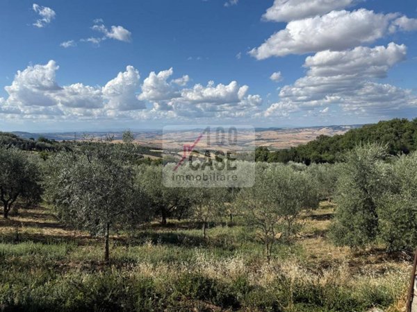 terreno agricolo in vendita a Castiglione d'Orcia in zona Campiglia d'Orcia