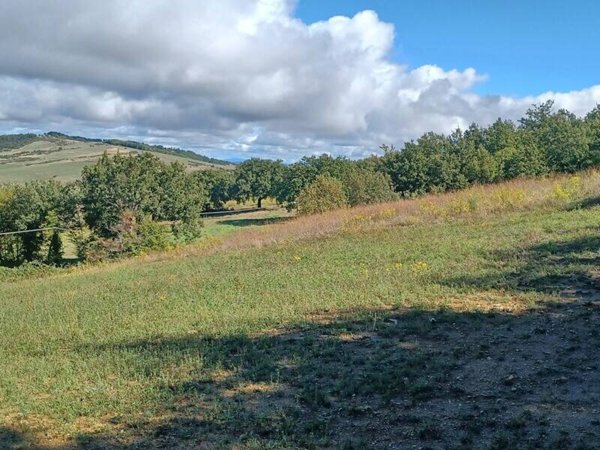 terreno agricolo in vendita a Castiglione d'Orcia