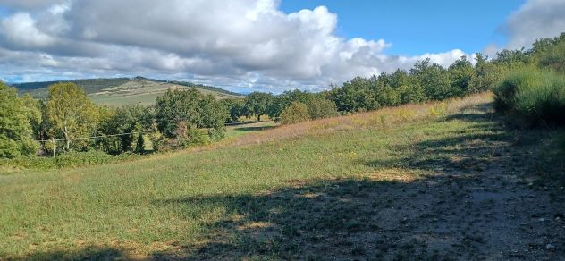 terreno agricolo in vendita a Castiglione d'Orcia