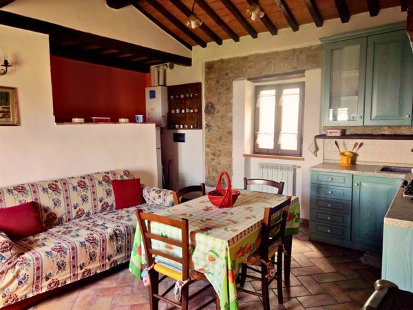 appartamento in vendita a Castiglione d'Orcia in zona Campiglia d'Orcia