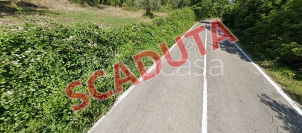 terreno agricolo in vendita a Castiglione d'Orcia