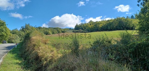 terreno agricolo in vendita a Castiglione d'Orcia