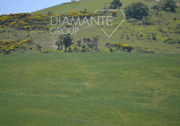 azienda agricola in vendita a Castiglione d'Orcia