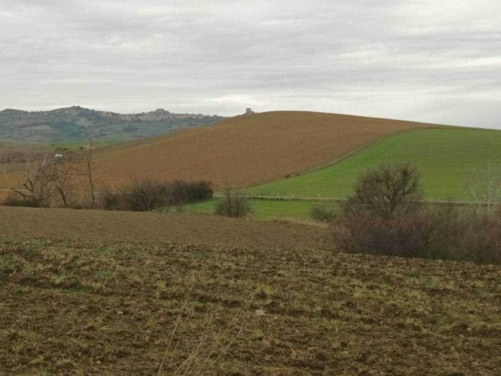 appartamento in vendita a Castiglione d'Orcia