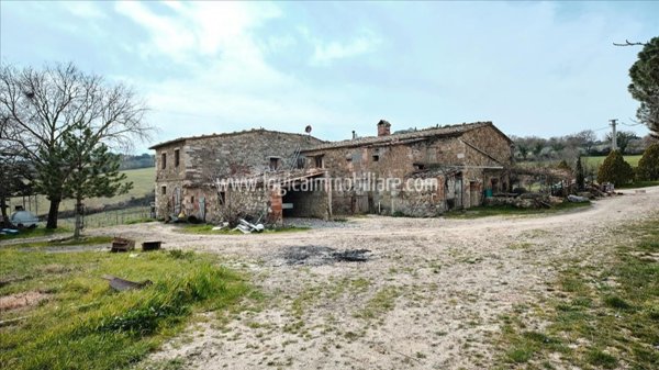 azienda agricola in vendita a Castiglione d'Orcia