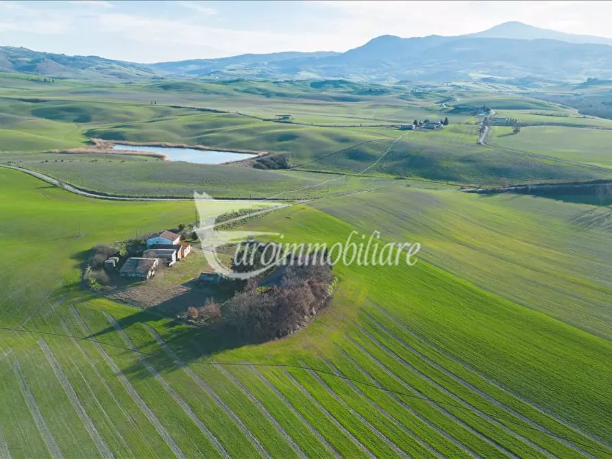 azienda agricola in vendita a Castiglione d'Orcia