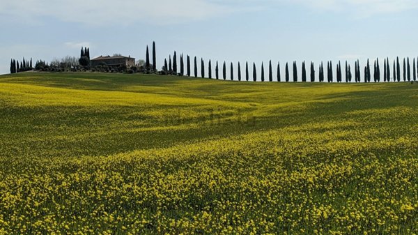 appartamento in vendita a Castiglione d'Orcia