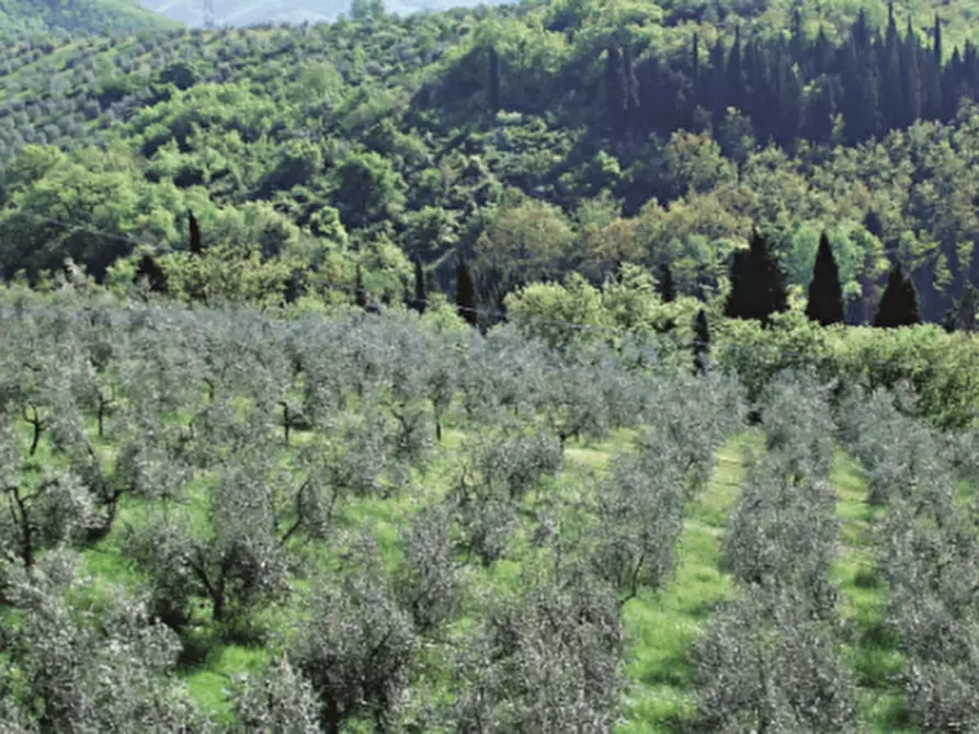 mansarda in vendita a Castiglione d'Orcia