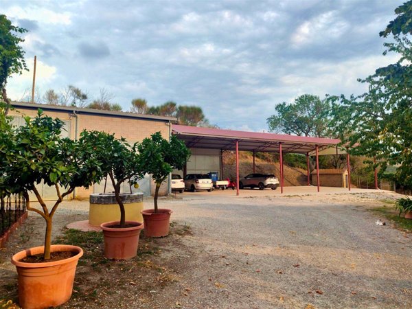 azienda agricola in vendita a Castiglione d'Orcia in zona Rocca d'Orcia