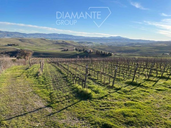 terreno agricolo in vendita a Castiglione d'Orcia in zona Rocca d'Orcia