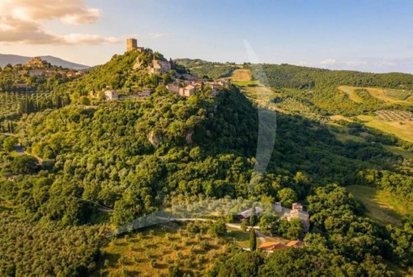 casa indipendente in vendita a Castiglione d'Orcia in zona Rocca d'Orcia