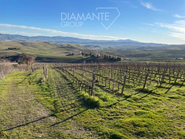 terreno agricolo in vendita a Castiglione d'Orcia in zona Rocca d'Orcia
