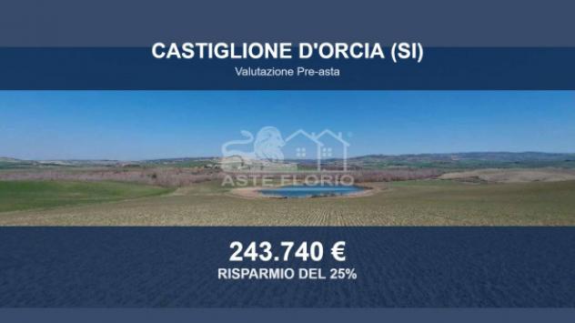 terreno agricolo in vendita a Castiglione d'Orcia