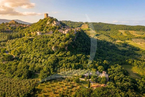 casa indipendente in vendita a Castiglione d'Orcia in zona Rocca d'Orcia