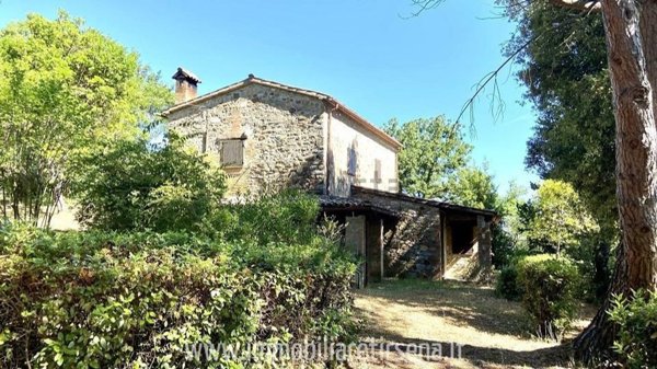 appartamento in vendita a Cetona
