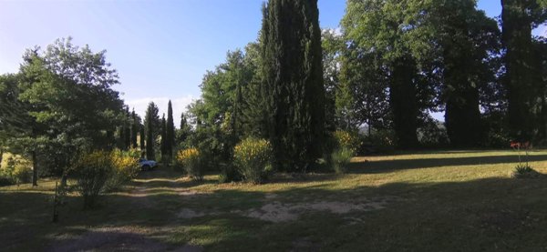 casa indipendente in vendita a Cetona