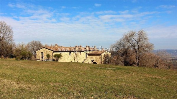 azienda agricola in vendita a Cetona
