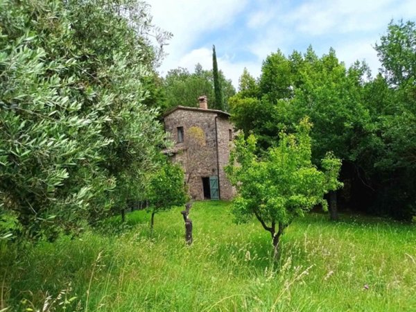 casa indipendente in vendita a Cetona