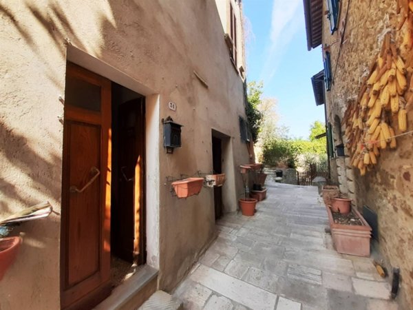 appartamento in vendita a Cetona