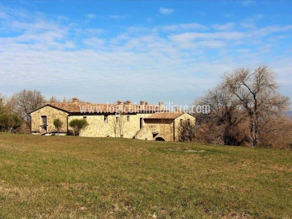 negozio in vendita a Cetona